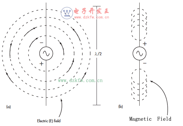 圍繞著半波偶極子的電磁場包括一個電場(a)和一個磁場(b)。電磁場均為球形且互成直角。